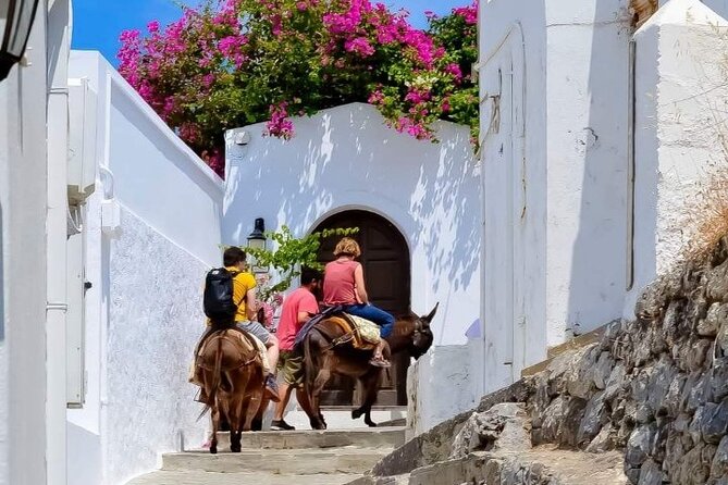 1 Day Rhodes Island Tour including Lindos and Medieval City - Olive Oil, Honey, Pottery, and Wine: Culture or Sales Stops