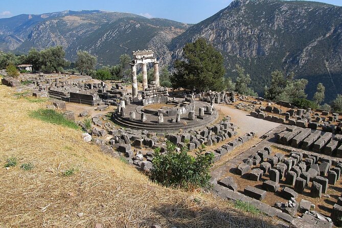 2-Day Delphi & Olympia Tour with Olive Oil & Honey Tasting - The Tastings: Olive Oil, Wine, Olives, and Honey (What to Expect)