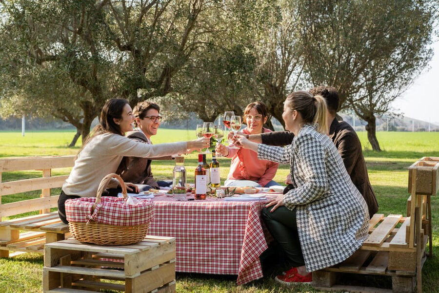 Abruzzo: Country Picnic in an Olive Grove at a Winery - The Olive Grove Picnic: A Relaxed Way to Do Abruzzo