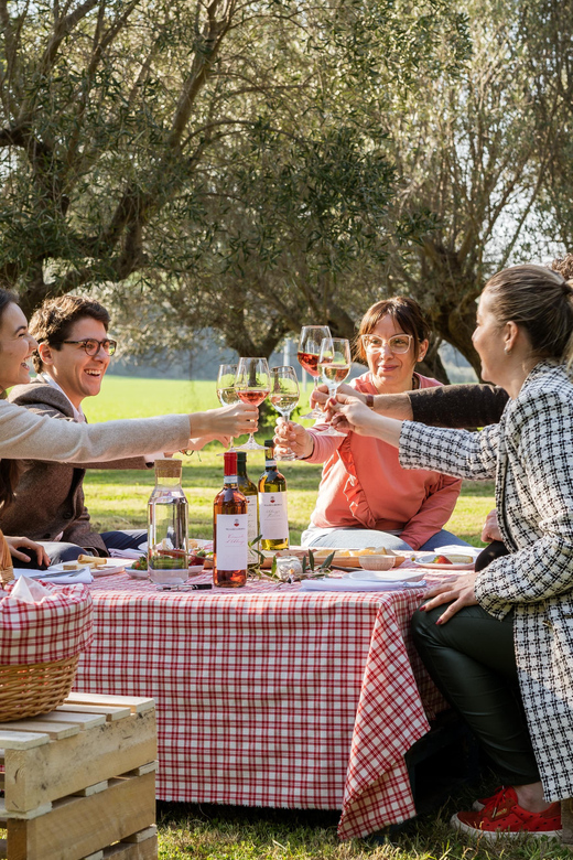 Abruzzo: Country Picnic in an Olive Grove at a Winery - How the 1.5 Hours Flows on the Ground