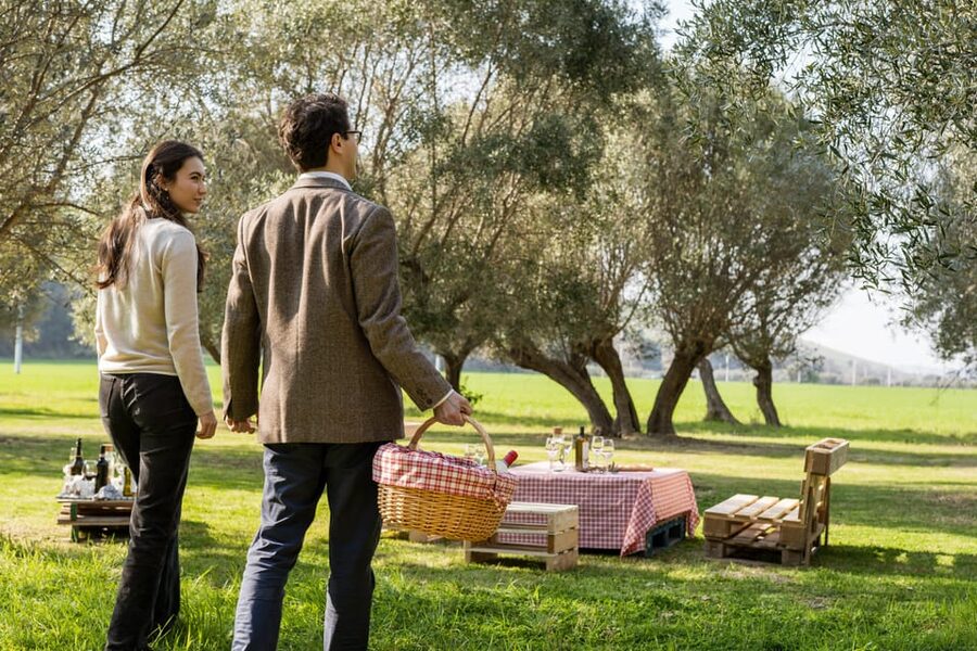 Abruzzo: Country Picnic in an Olive Grove at a Winery - Who This Olive Grove Picnic Fits Best (and Who Might Not)
