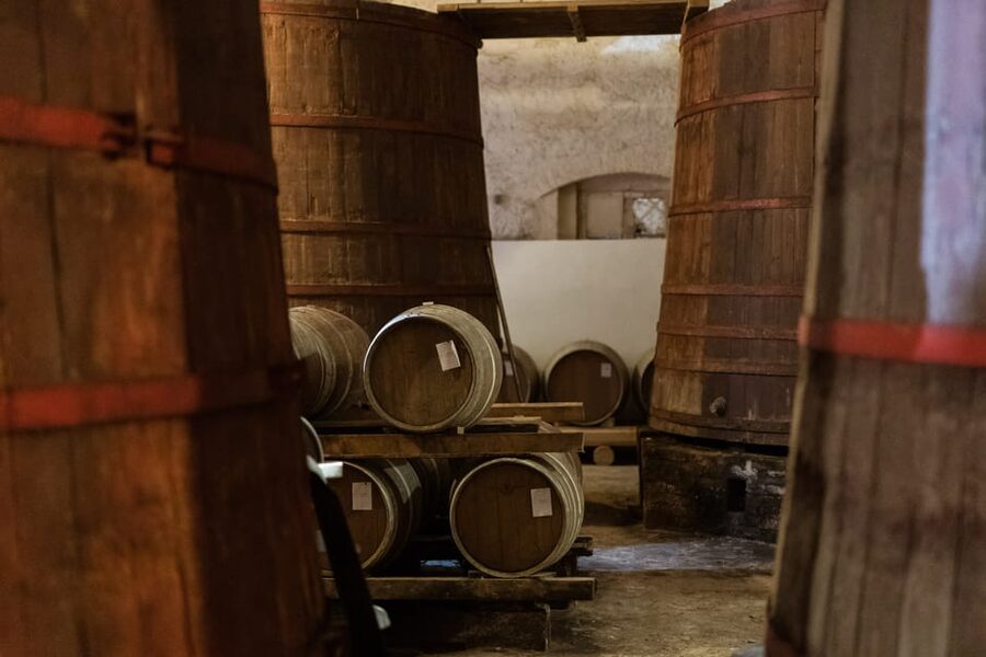 Abruzzo: Country Picnic in an Olive Grove at a Winery - FAQ