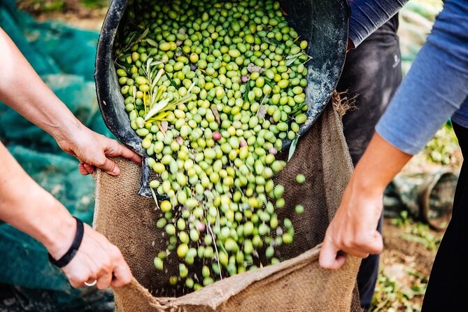 Afternoon Tour: Soap, Olive Oil & Wine Stories of Peza Village - Peza Valley in One Afternoon: Soap, Olive Oil, and Wine