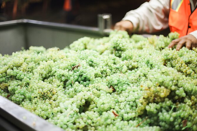 Afternoon Tour: Soap, Olive Oil & Wine Stories of Peza Village - Stop 3: Boutique Winery Walks and Indigenous Wine Tastings