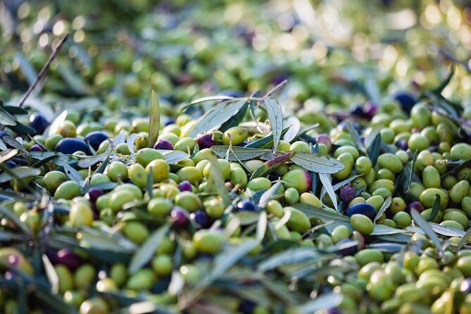Afternoon Tour: Soap, Olive Oil & Wine Stories of Peza Village - Who This Tour Fits Best (and a Couple of You-Should-Know Tips)