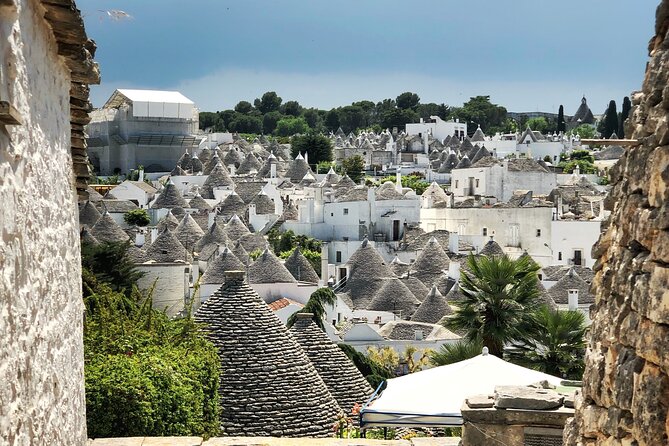 Alberobello : Group or Private Walking Tour & Olive Oil Tasting - Key highlights you’ll feel on the ground
