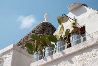Alberobello : Group or Private Walking Tour & Olive Oil Tasting - Meeting point and timing: the little details that prevent stress