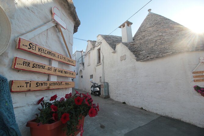 Alberobello : Group or Private Walking Tour & Olive Oil Tasting - Price and value: is $66.16 per person fair for what you get?