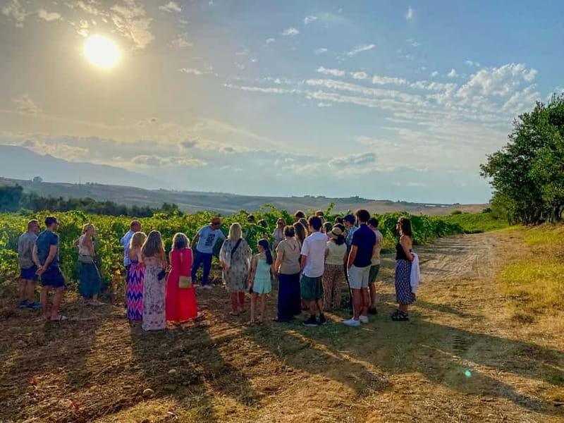 Alcamo: Natural Wine & Olive Oil Tasting - Sicily - Getting there without the Google Maps headache
