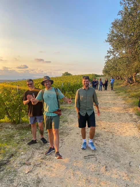 Alcamo: Natural Wine & Olive Oil Tasting - Sicily - Where this tasting fits in Sicily (and why it feels real)