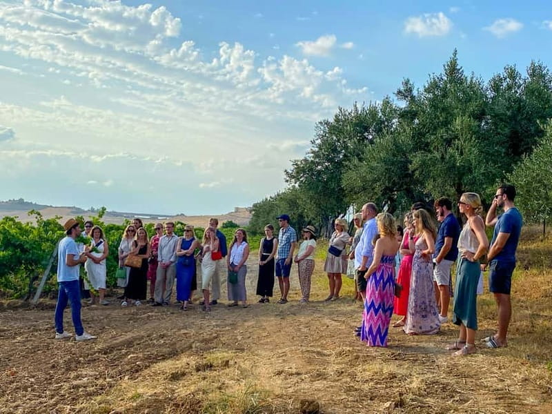 Alcamo: Natural Wine & Olive Oil Tasting - Sicily - Meet the natural wine and olive oil makers behind the glass