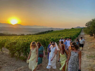 Alcamo: Natural Wine & Olive Oil Tasting - Sicily - The vineyard walk: your first taste of the farm
