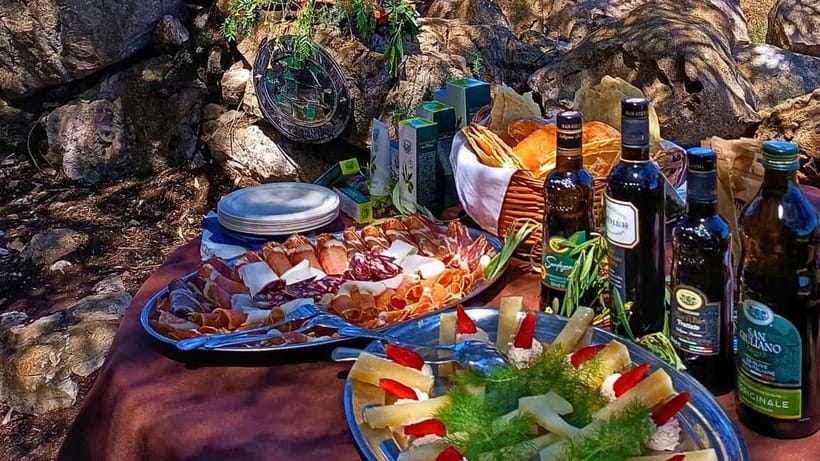 Alghero: Olive Grove Visit with Olive Oil Tasting - Key Highlights You Should Know