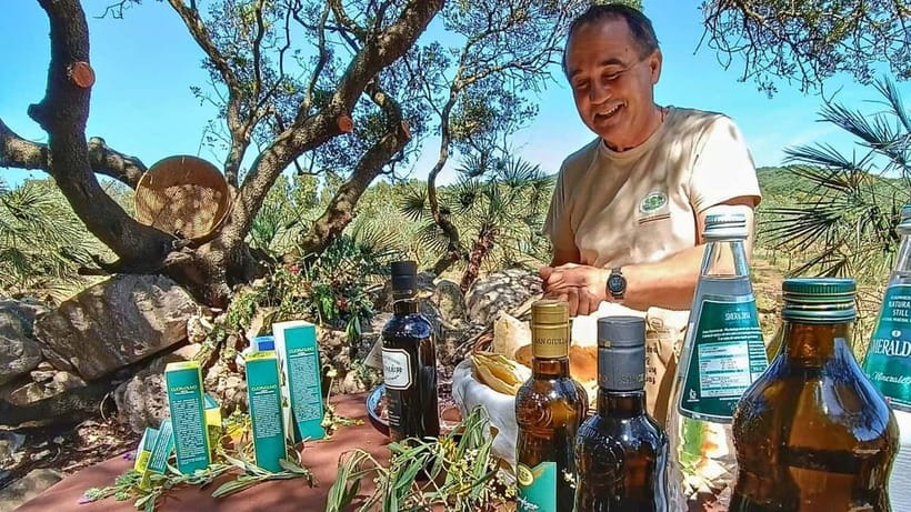 Alghero: Olive Grove Visit with Olive Oil Tasting - Walking Into the Alghero Countryside: Animals, Olive Trees, and Fresh Air