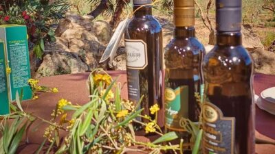 Alghero: Olive Grove Visit with Olive Oil Tasting - The Panoramic Olive Grove Tasting: What the Guide Helps You Notice