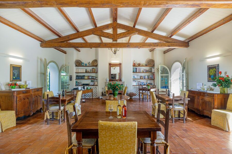 Alghero: Wine and Olive Oil Tasting at a Local Farm - Key highlights at Ledà d’Ittiri (Alghero wine + olive oil tasting)