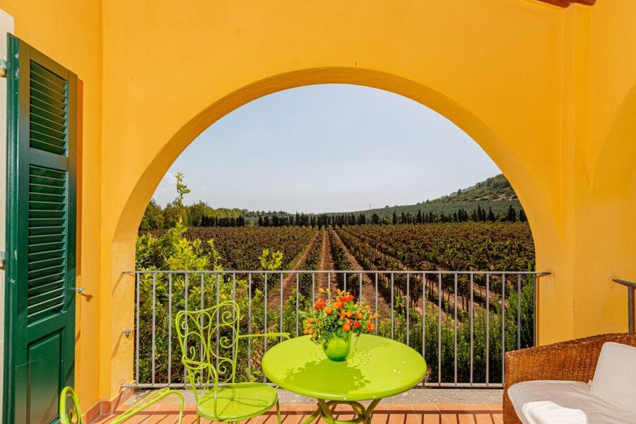 Alghero: Wine and Olive Oil Tasting at a Local Farm - Why this Alghero tasting feels like a real farm visit