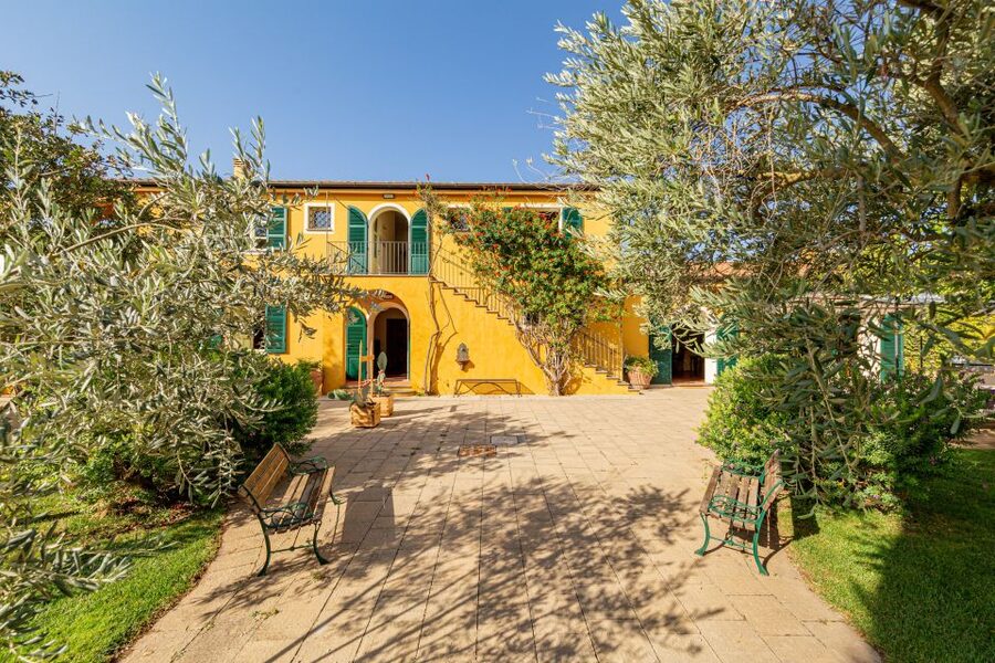 Alghero: Wine and Olive Oil Tasting at a Local Farm - Vineyard and olive grove time: walking on your own vs paying for extra guidance