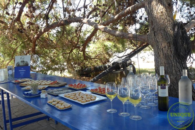 An Unforgettable Day With Fish, Wine and Olive Oil Tasting - Logistics From Portorož: Simple Start, Small Group Flow