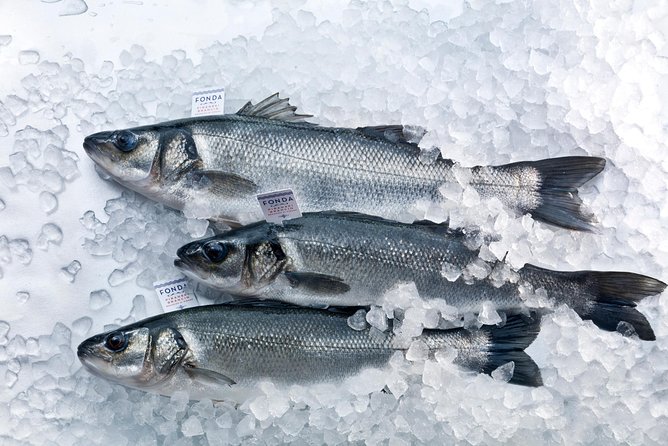 An Unforgettable Day With Fish, Wine and Olive Oil Tasting - What You Actually Learn and Notice at the Farm