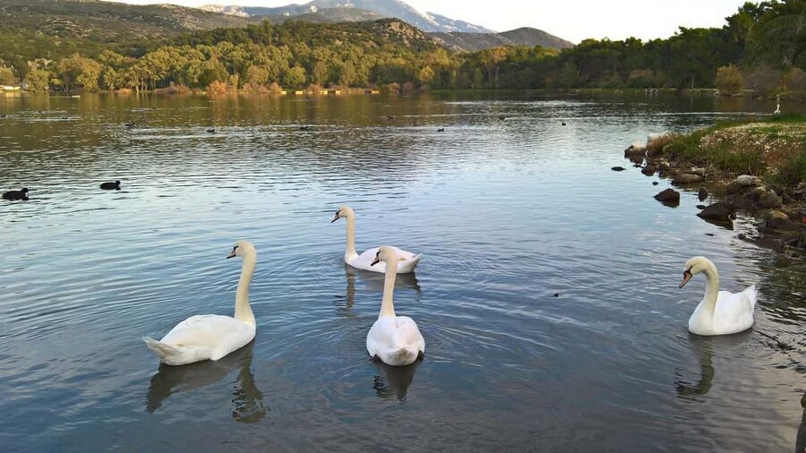 Argostoli & Beyond: Culture, Villages, Olive Oil & Honey - Kastro village and Agios Georgios Castle: choose your adventure level
