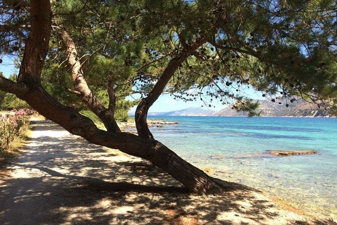 Argostoli & Beyond: Villages, Olive Oil & Honey Tasting - Stop 2: Lighthouse of Saint Theodoroi (Short Stop, Big View Potential)