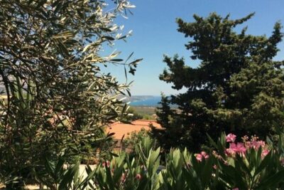 Argostoli & Beyond: Villages, Olive Oil & Honey Tasting - Stop 1: Katavothres Sinkholes of Argostoli (Why It’s the Perfect First Stop)