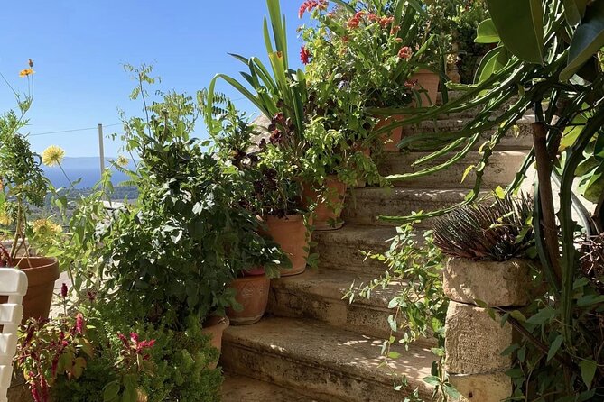Argostoli & Beyond: Villages, Olive Oil & Honey Tasting - Stop 4: Monastery of Agios Gerasimos (Quiet Time, Rules Included)
