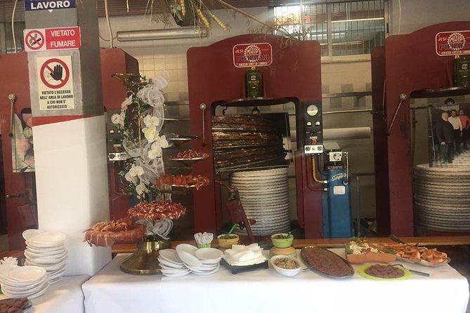 Ascoli Olive Oil Tour with Tasting and Local Food Pairing - Timing, pace, and what to do with the rest of your day