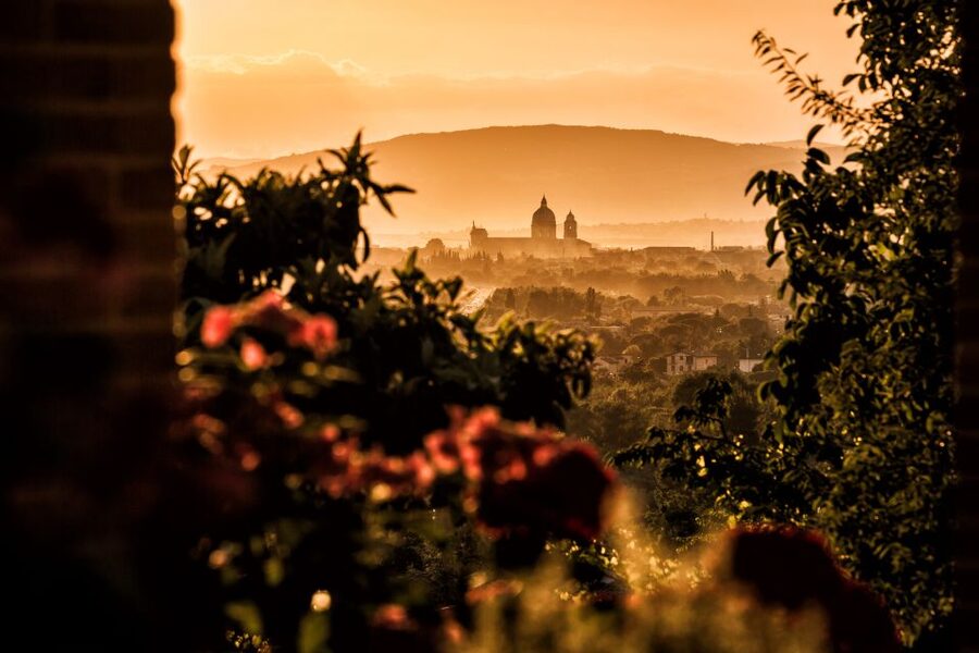 Assisi: Organic Balsamic Vinegar, Olive Oil & Wine Tour - Key things that make this tour work