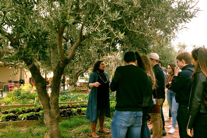 ATHENS OLIVE ESTATE - Olive Oil Workshop with Farm-to-Fork Lunch - The route and logistics: how the day stays comfortable