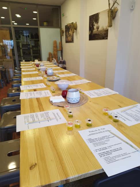 Baeza: Olive Oil Tasting Experience - From Jaén to Baeza: What the Olive Oil Story Teaches You