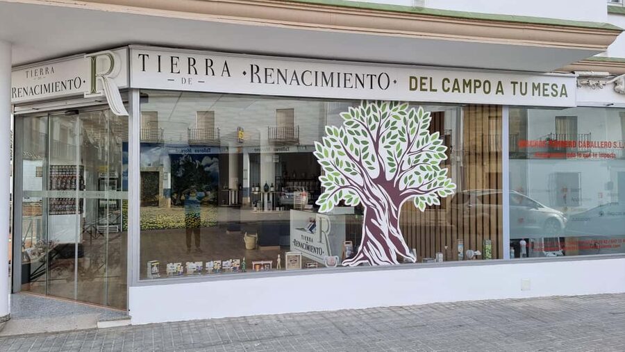 Baeza: Visit to an Organic Olive Grove + Oil Tasting - Meeting at Tierra de Renacimiento and getting to the grove