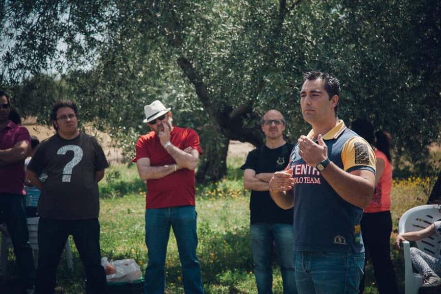 Baeza: Visit to an Organic Olive Grove + Oil Tasting - Olive-to-oil “liquid gold”: how the process is explained