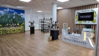 Baeza: Visit to an Organic Olive Grove + Oil Tasting - The organic olive grove walk: what you’ll learn among the trees