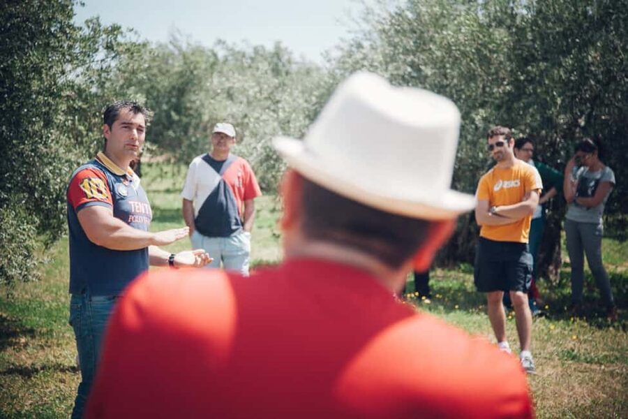 Baeza: Visit to an Organic Olive Grove + Oil Tasting - Practical tips before you go