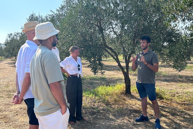 Balestrate Olive Grove Tour: Wine and Olive Oil Tasting - Stop 1: the olive grove experience in Balestrate with Francesco