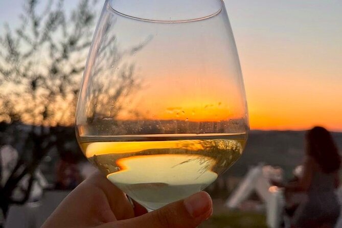 Balestrate Olive Grove Tour: Wine and Olive Oil Tasting - The family tasting in a typical Sicilian house: wine, balsamic, and limoncello