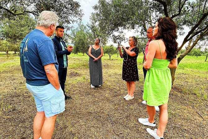 Balestrate Olive Grove Tour: Wine and Olive Oil Tasting - Lunch at the grandparents’ home: caponata and family-style Sicilian food