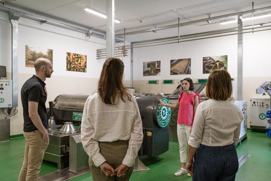 Bardolino: Lake Garda Oil Mill Tour with Olive Oil Tasting - Group size and timing: the two things that can affect your comfort