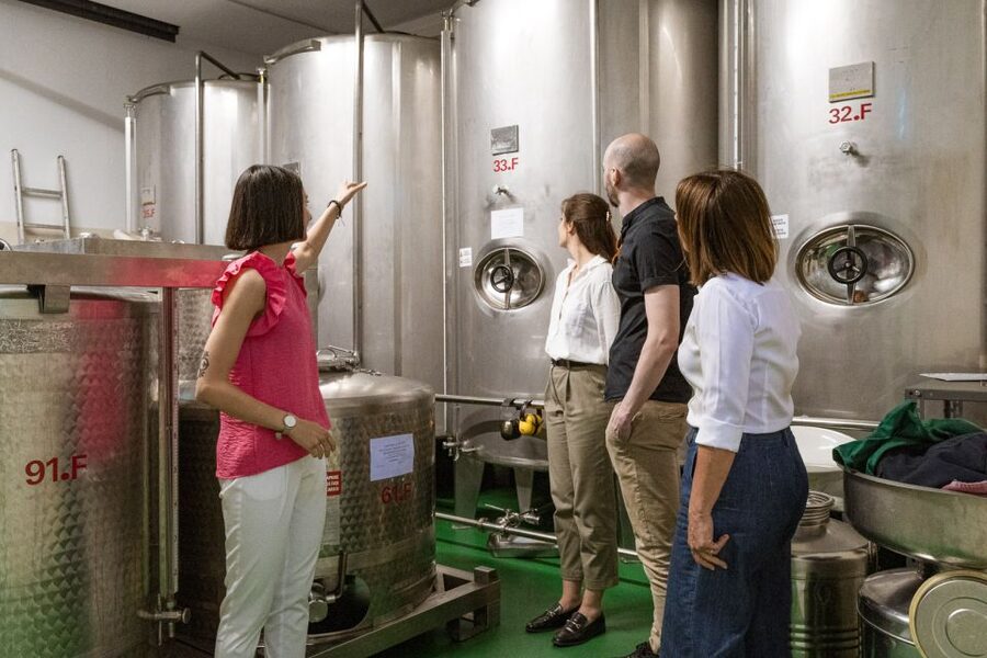 Bardolino: Lake Garda Oil Mill Tour with Olive Oil Tasting - Why Bardolino’s oil mill tour is more than a sip-and-go tasting