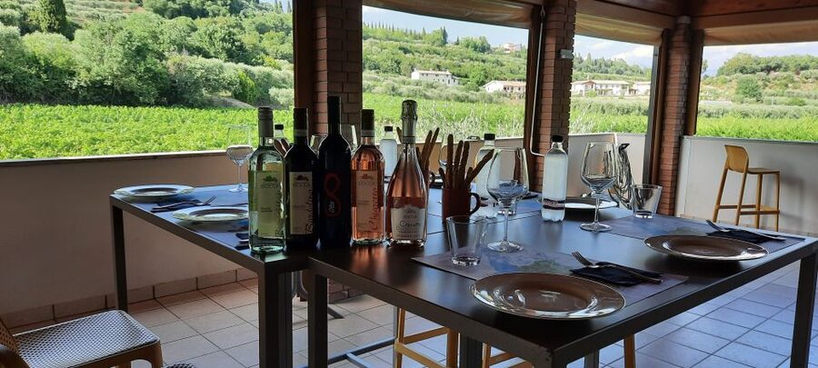 Bardolino: Vineyard Tour with Wine, Olive Oil & Food Tasting - Vineyard tour basics: what you actually learn while walking
