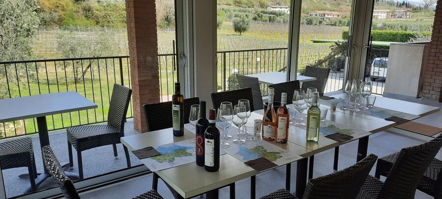 Bardolino: Vineyard Tour with Wine, Olive Oil & Food Tasting - WWII roots to modern Bardolino: the family story behind the glass