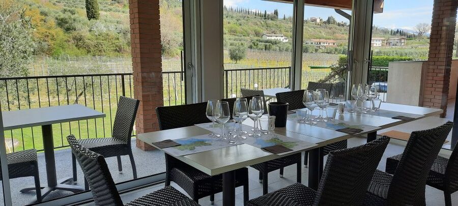 Bardolino: Vineyard Tour with Wine, Olive Oil & Food Tasting - Guide quality matters: Marco and Jack’s teaching style