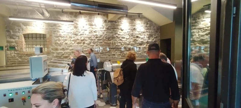Bevagna: Olive Oil Mill Tour with Guided Tasting - The 30-Minute Mill Visit: Real Production, Not Big Promises