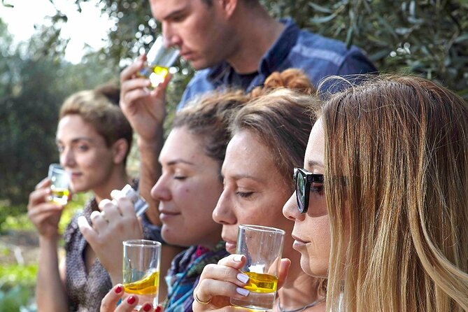 Bio Farm Private Olive Oil Tasting, Farm to Fork Meal & Temple of Poseidon Tour - Key Highlights You’ll Care About