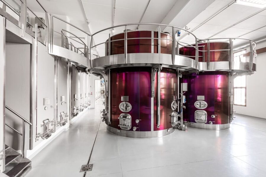 Bologna: Olive Grove and Vineyard Tour with Product Tastings - One practical heads-up before you go