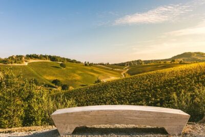 Bologna: Olive Grove and Vineyard Tour with Product Tastings - Key things to look forward to