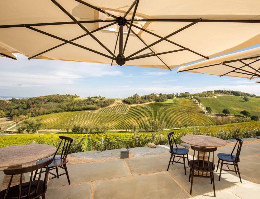 Bologna: Olive Grove and Vineyard Tour with Product Tastings - 700 hectares of olives and vines: what you’ll actually see
