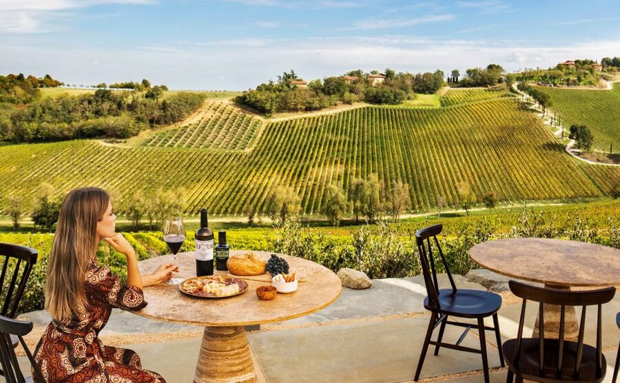 Bologna: Olive Grove and Vineyard Tour with Product Tastings - Short tour, calm pace: terrace time, pairings, and how to enjoy it